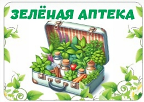 Зеленая аптека. На территории нашего детского сада есть зеленая аптека, где растут лекарственные травы. Зеленая аптека. На территории нашего детского сада есть зеленая аптека, где растут лекарственные травы.